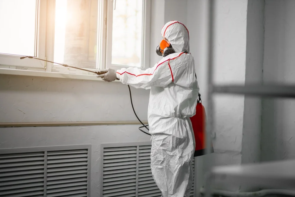 Professional mold remediation services in Claremont, MN